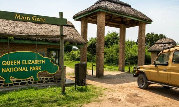 Safari photo