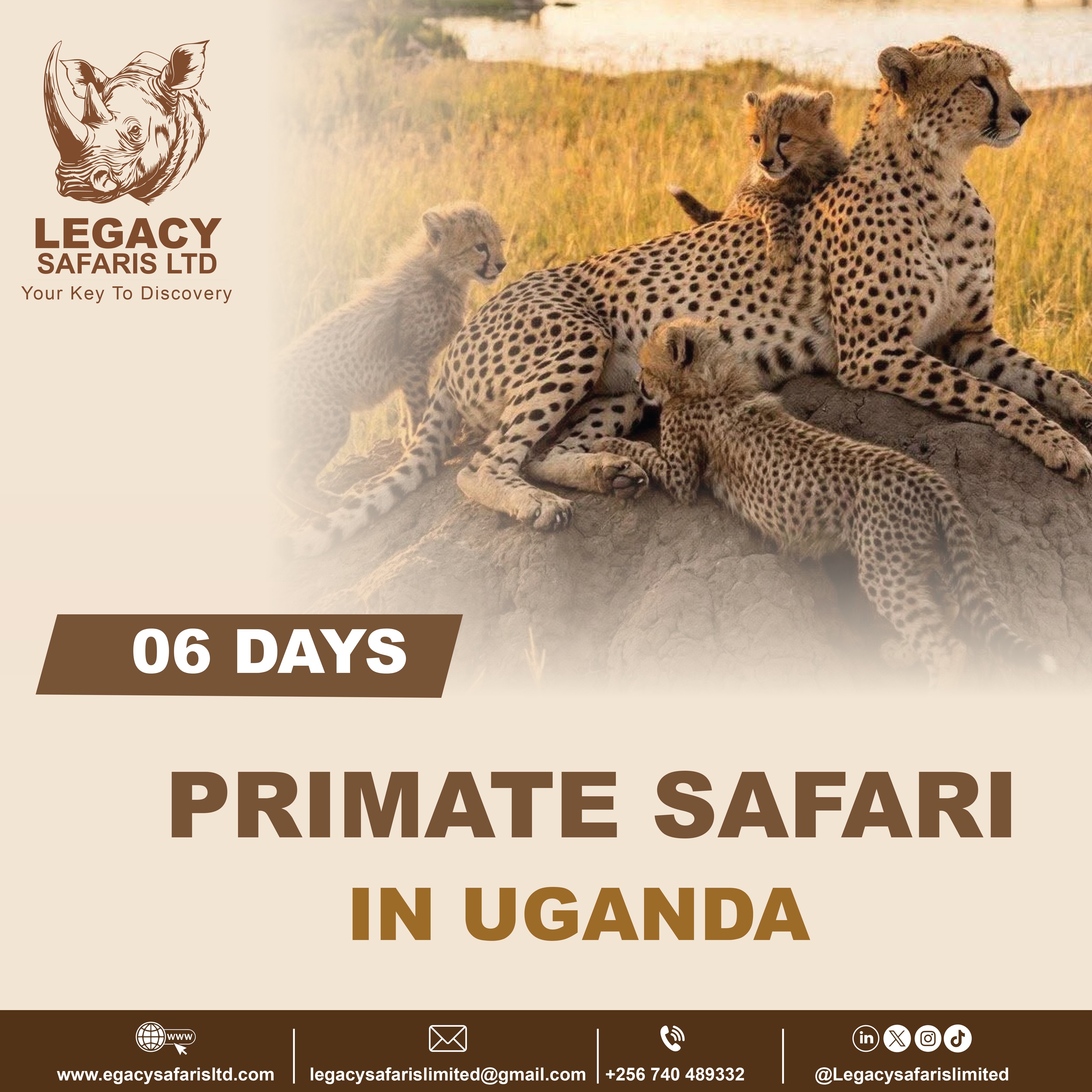 Primate Safari in Uganda (6 Days)